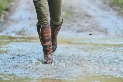 Dubarry Galway Boots | Gore-tex | Walnut